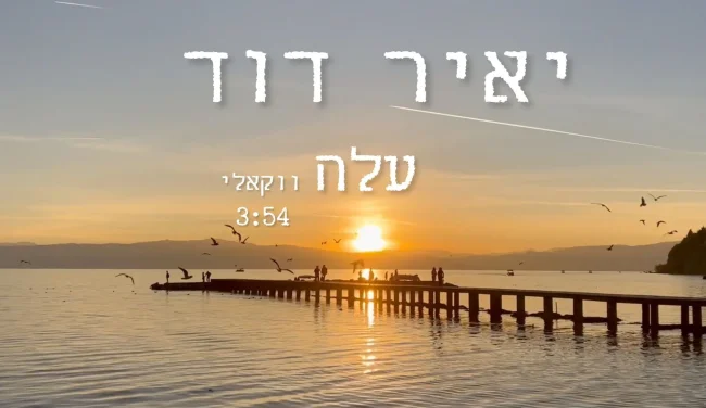 יאיר דוד בגרסה ווקאלית לשירו המרגש - "עלה"