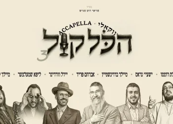 יידל&nbsp;ורדיגר - "הכל קול 3"