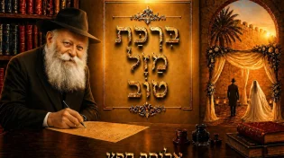 אליסף חפץ בסינגל חדש - "ברכת מזל טוב"