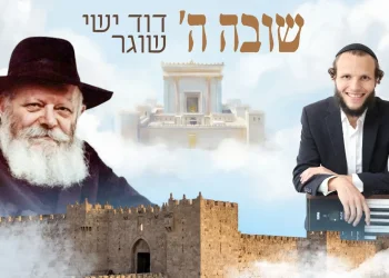 דוד ישי שוגר - "שובה"