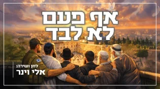 אלי וינר בסינגל חדש לאור התקופה: "אף פעם לא לבד"