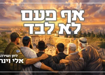 אלי וינר - "אף פעם לא לבד"