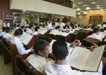 הסוד של חג השבועות: למה דווקא עכשיו נפתחים שערי רפואה? הסוד של חג השבועות: למה דווקא עכשיו נפתחים שערי רפואה?