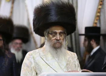 מוזיקה מודרנית בחתונות? האדמו"ר מסאטמר זועק על כך