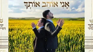 אלעד אלדד ובן דודו ינון דודיאן בשיתוף פעולה מרגש - "אני אוהב אותך"