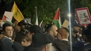 כאוס בברוקלין: יהודים הותקפו ליד בית כנסת - דווקא תומכי ישראל נעצרו
