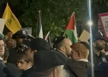 כאוס בברוקלין: יהודים הותקפו ליד בית כנסת - דווקא תומכי ישראל נעצרו