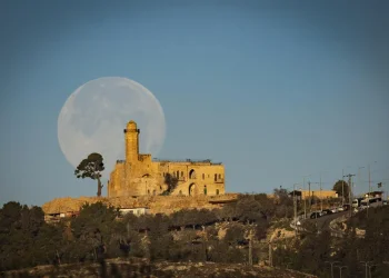 נולד בזכות תפילה של אימא: 10 עובדות על שמואל הנביא נולד בזכות תפילה של אימא: 10 עובדות על שמואל הנביא