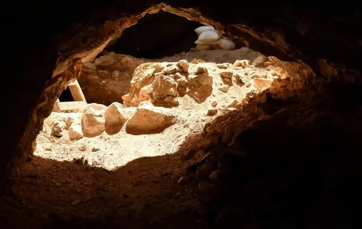 תגלית מסתורית ליד ירושלים: המנהרה העתיקה שמסעירה את החוקרים תגלית מסתורית ליד ירושלים: המנהרה העתיקה שמסעירה את החוקרים