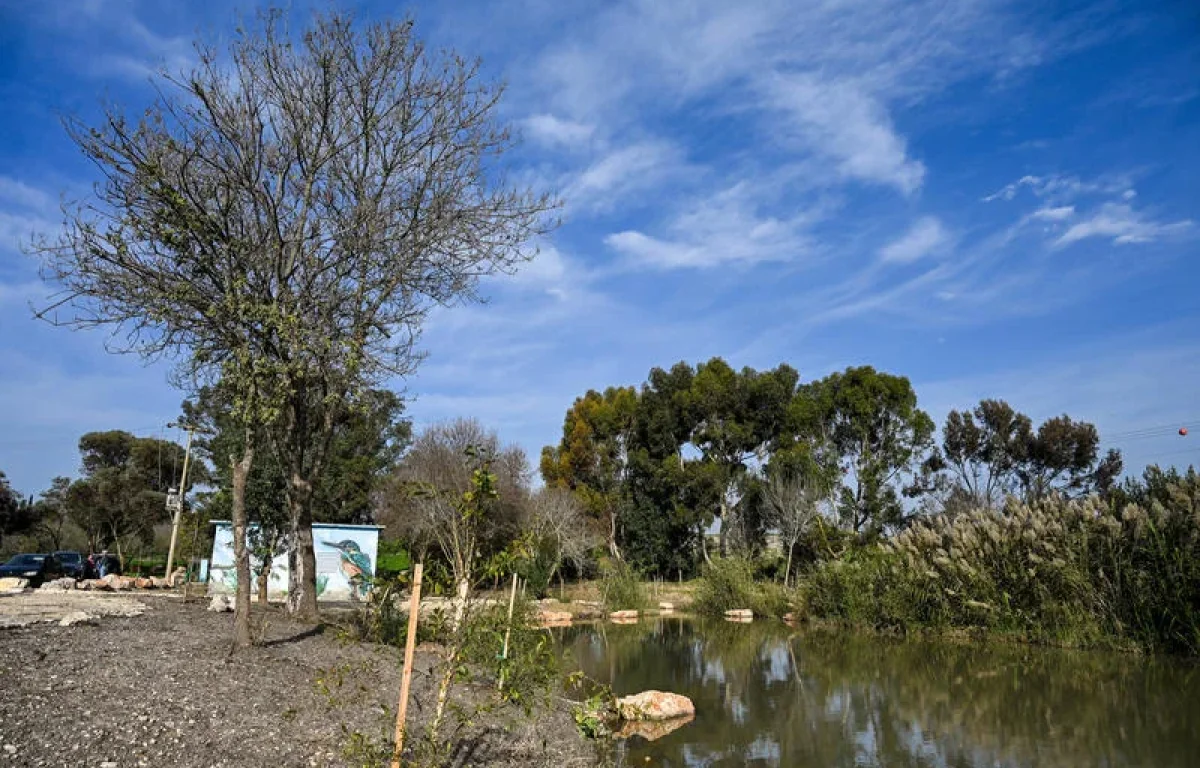 ירידה קלה בטמפרטורות והקלה בעומסי החום: התחזית המלאה ירידה קלה בטמפרטורות והקלה בעומסי החום: התחזית המלאה
