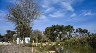 ירידה קלה בטמפרטורות והקלה בעומסי החום: התחזית המלאה