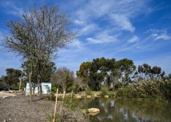 ירידה קלה בטמפרטורות והקלה בעומסי החום: התחזית המלאה ירידה קלה בטמפרטורות והקלה בעומסי החום: התחזית המלאה
