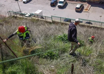 אחרי יותר משנתיים: המשטרה חושפת עדכון חדש בפרשת היימנוט קסאו