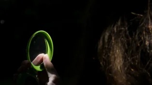 מרגיש אור והתלהבות אבל נופל שוב? הרב אונגר מסביר למה זה קורה