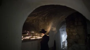 10 עובדות שכנראה (לא) ידעתם על דוד המלך
