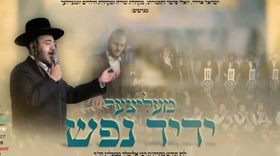 ישראל אדלר, יונגערליך, שירה ויואלי פישר "מעליצער ידיד נפש"