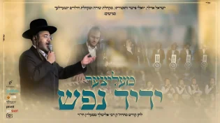 ישראל אדלר, יונגערליך, שירה ויואלי פישר "מעליצער ידיד נפש"