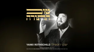 יענקי רוטשילד בסינגל חדש - "טוב התורה"