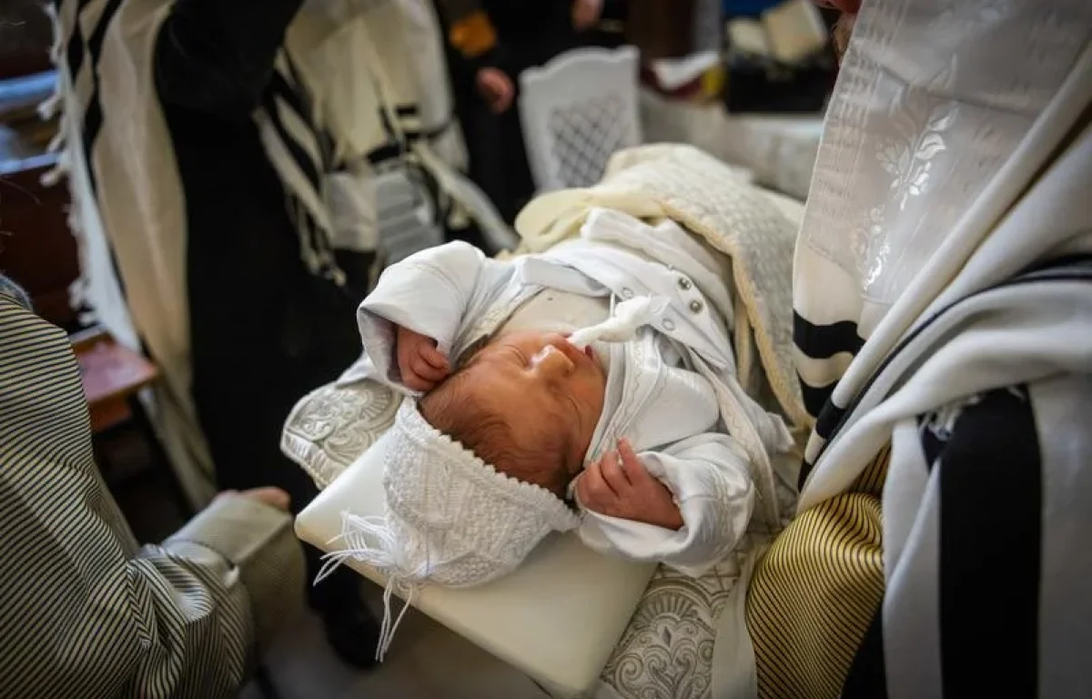 מנהיגי יהדות אירופה נגד בלגיה: "הופכים את ברית המילה לפשע" מנהיגי יהדות אירופה נגד בלגיה: "הופכים את ברית המילה לפשע"