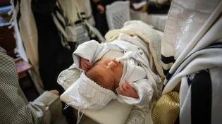 מנהיגי יהדות אירופה נגד בלגיה: "הופכים את ברית המילה לפשע"