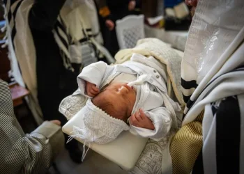 מנהיגי יהדות אירופה נגד בלגיה: "הופכים את ברית המילה לפשע" מנהיגי יהדות אירופה נגד בלגיה: "הופכים את ברית המילה לפשע"