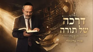 אורי גרינוולד בסינגל חדש במעלתה של תורה