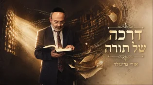 אורי גרינוולד בסינגל חדש במעלתה של תורה