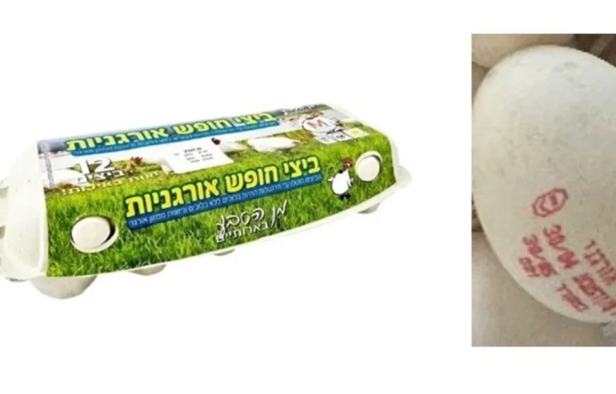 אזהרה לצרכנים: ביצי חופש אורגניות נאספות מהמדפים בגלל עובש אזהרה לצרכנים: ביצי חופש אורגניות נאספות מהמדפים בגלל עובש