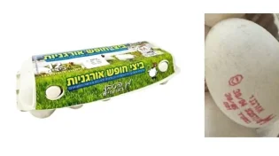 אזהרה לצרכנים: ביצי חופש אורגניות נאספות מהמדפים בגלל עובש