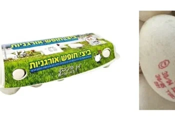 אזהרה לצרכנים: ביצי חופש אורגניות נאספות מהמדפים בגלל עובש אזהרה לצרכנים: ביצי חופש אורגניות נאספות מהמדפים בגלל עובש