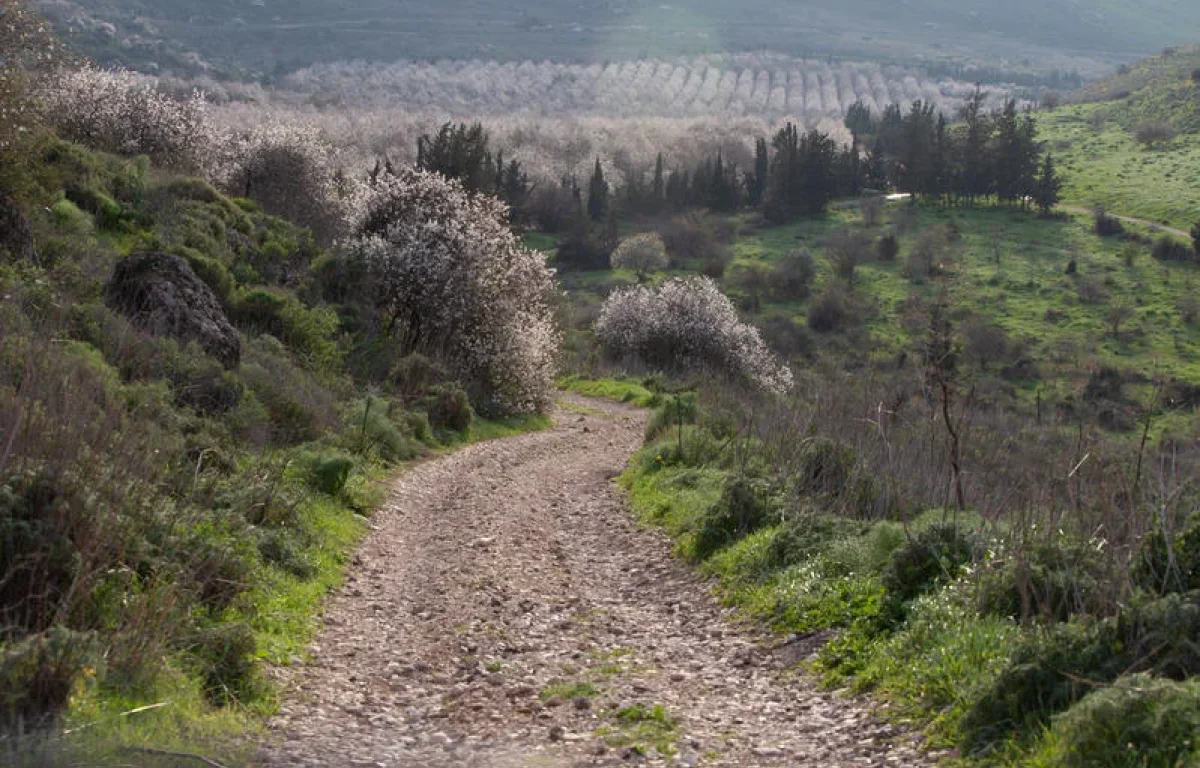 גשם והתקררות לפנינו, ובתחילת השבוע מזג האוויר מתהפך גשם והתקררות לפנינו, ובתחילת השבוע מזג האוויר מתהפך