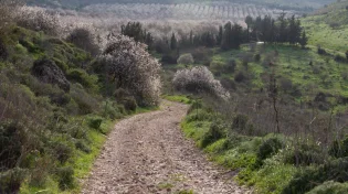 גשם והתקררות לפנינו, ובתחילת השבוע מזג האוויר מתהפך