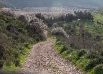 גשם והתקררות לפנינו, ובתחילת השבוע מזג האוויר מתהפך גשם והתקררות לפנינו, ובתחילת השבוע מזג האוויר מתהפך