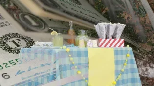 ממכירת ממתקים בבית הספר למיליונים: הצעיר בן ה-18 שעורר סערה ברשת