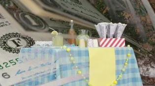 ממכירת ממתקים בבית הספר למיליונים: הצעיר בן ה-18 שעורר סערה ברשת