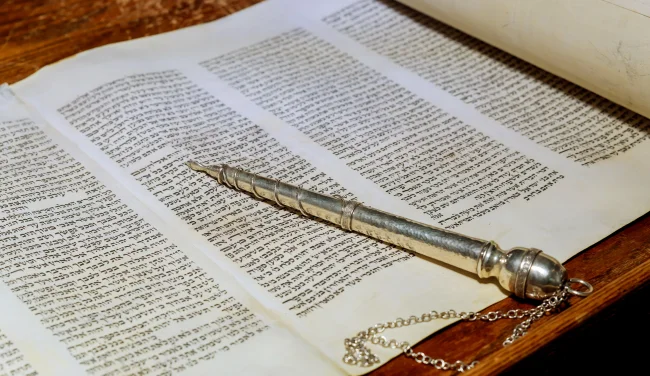 אחת ולתמיד: האם השם שלכם באמת חושף את עתידכם?