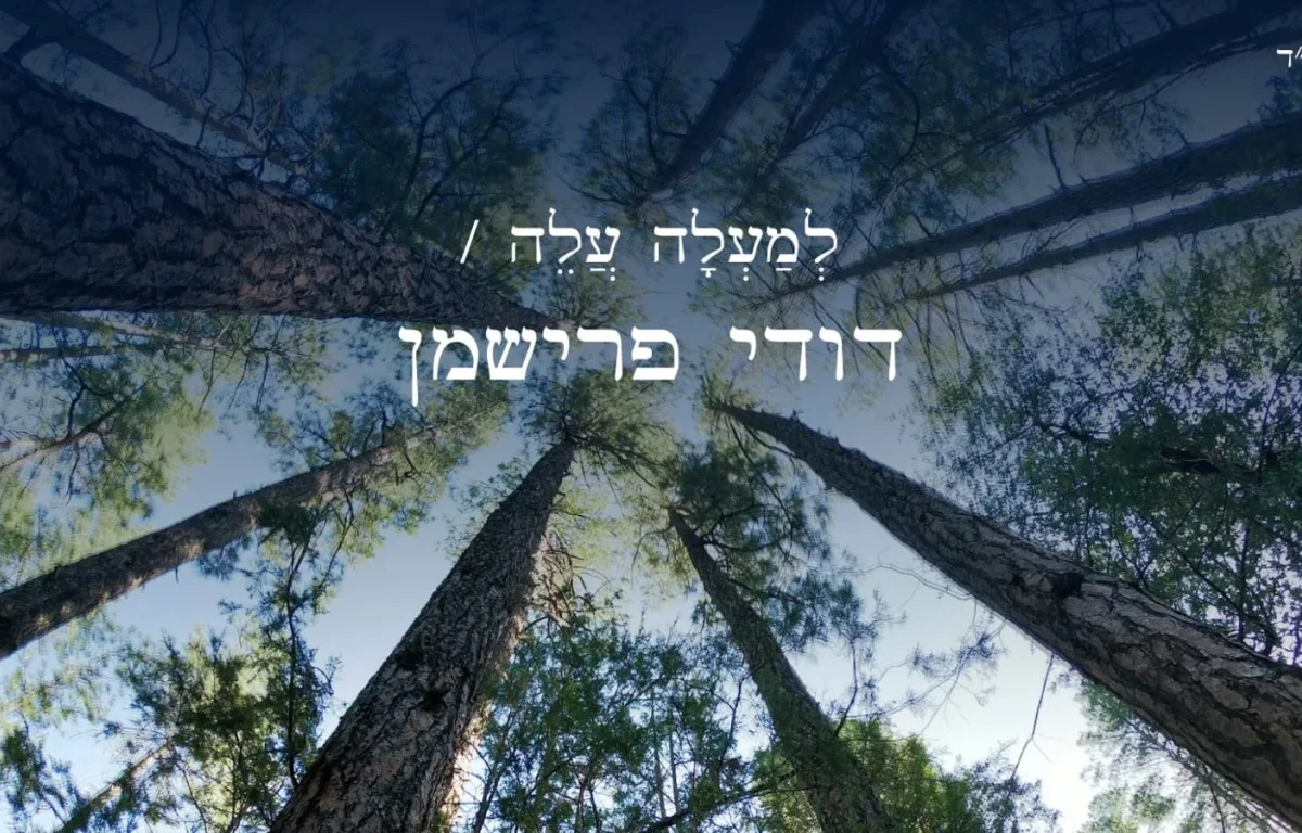 דודי פרישמן - "למעלה עלה" דודי פרישמן - "למעלה עלה"