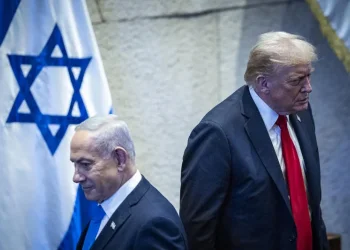 "אתה משוגע לגמרי, בלעדי היית בכלא": אחת השיחות הקשות בין נתניהו לטראמפ "אתה משוגע לגמרי, בלעדי היית בכלא": אחת השיחות הקשות בין נתניהו לטראמפ