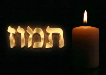 איזה צדיקים נפטרו בחודש תמוז? איזה צדיקים נפטרו בחודש תמוז?