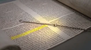 הצופן המדהים שהתגלה בתורה: "זה הולך לזעזע אנשים מסוימים"