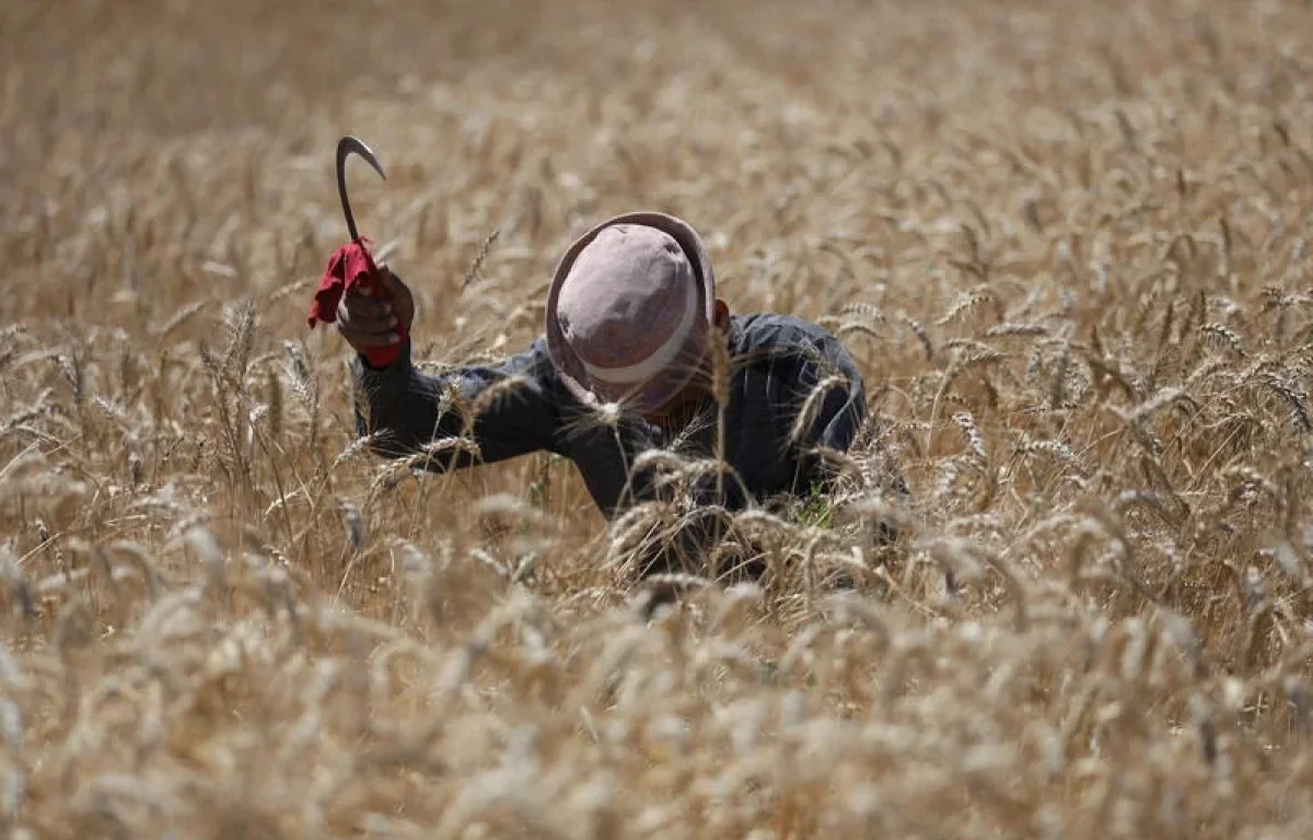ירידה בטמפרטורות והקלה בעומס החום: כך ייראה מזג האוויר בימים הקרובים ירידה בטמפרטורות והקלה בעומס החום: כך ייראה מזג האוויר בימים הקרובים