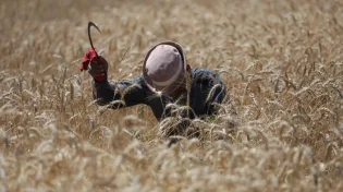 ירידה בטמפרטורות והקלה בעומס החום: כך ייראה מזג האוויר בימים הקרובים