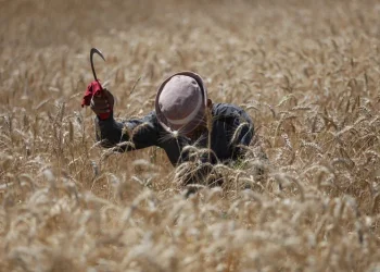 ירידה בטמפרטורות והקלה בעומס החום: כך ייראה מזג האוויר בימים הקרובים ירידה בטמפרטורות והקלה בעומס החום: כך ייראה מזג האוויר בימים הקרובים