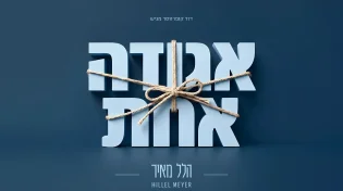 הלל מאיר מחבר את הפאזל: סינגל פופ תוסס וסוחף - "אגודה אחת"
