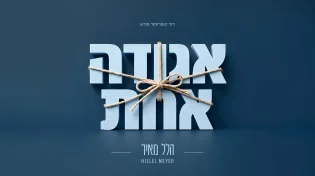 הלל מאיר מחבר את הפאזל: סינגל פופ תוסס וסוחף - "אגודה אחת"