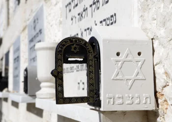 תיקון הנפטרים הגדול: "אנחנו פועלים למענם מכאן והם פועלים למעננו משם" תיקון הנפטרים הגדול: "אנחנו פועלים למענם מכאן והם פועלים למעננו משם"