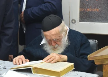 "אז תקראו לה פרה": התגובה המפתיעה של הרב קניבסקי לאב שבחר שם מקורי "אז תקראו לה פרה": התגובה המפתיעה של הרב קניבסקי לאב שבחר שם מקורי