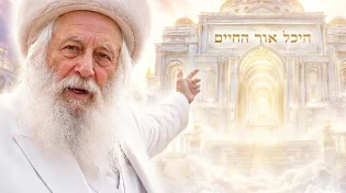 האבא התגלה בחלום מצמרר: "אני נמצא בהיכל של אור החיים הקדוש!" | שידור חי