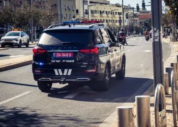חשד לגניבה הוביל למרדף ברחוב - ואז נחשפה התמונה המלאה