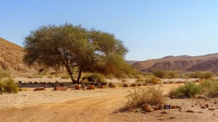 החום עדיין כאן, אבל יש בשורה: מתי סוף סוף תגיע ההקלה?